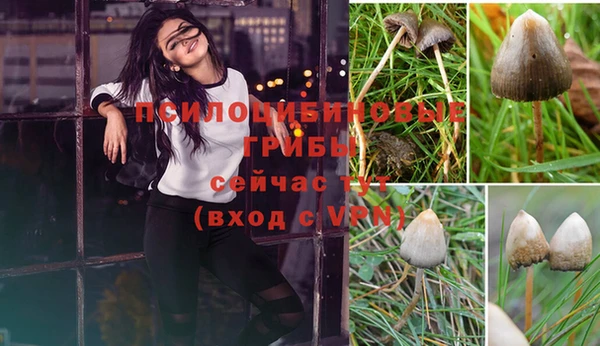амф Аркадак