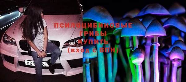 стаф Няндома