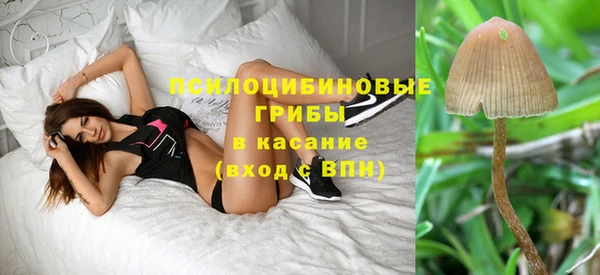 бутират Арсеньев